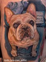 French bulldog portrait #realismtattoo #tattoorealistic #portraittattoo #portrait #portraittattoos 