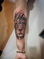 #liontattoo #lion #tattoo #tattooing #tattooart #tattooartist #Tattoodo #tattoodesign 