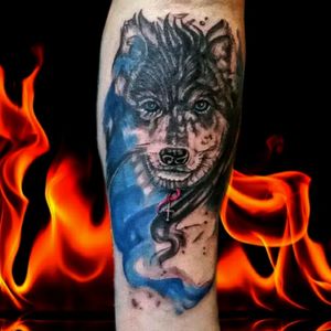 #wolfhead #wolftattoo #wolf #watercolortattoo #rockmybodytattoostudio #instagram #tattooart #tattooartist 