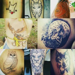 Algumas tatuagens de animais que fiz para alguns clientes #fenix #feather #wolf #coruja #lion #liontattoo 