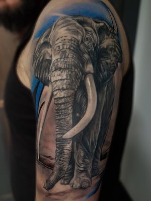 #tattoodo #tattoo #ink #inked #bodyart #bestofday #artistic #realistic #bodyart #art #fineart #tatt #inkedup #elephant #animal #color #blue #uk #exeter #skin 