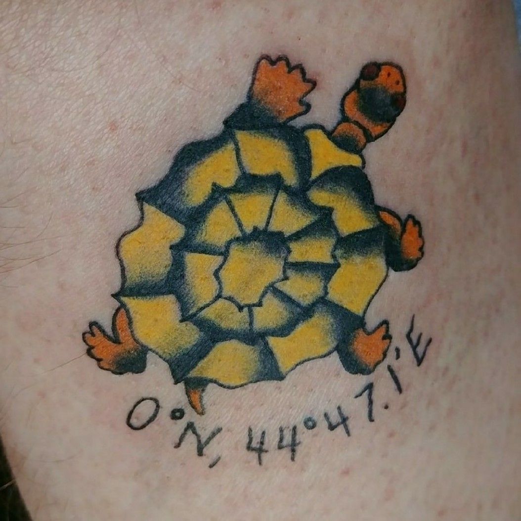 Turtle shellback  Shellback tattoo Tattoos Mermaid tattoos