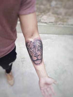 Lion tattoo at black ink story tattoo shop in Paris 