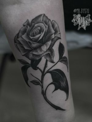 #tattooart #tattooartist #tattoo #inked #ink #inks #blackandgrey #moscow #moscowskayaoblast #rose #blackrose 