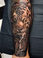 Tiger realism by Phoenix Blaze #tattoo #tiger #bigcat #wildlife #bng 
