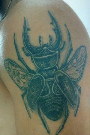 Primeira #tattoo #escaravelho #besouro 