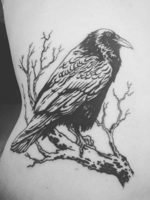 Raven on branch [2018]