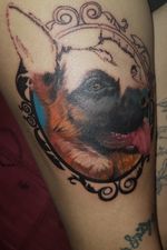 #firststep #firststeptattoo #newtattoo #tattoo #tattooed #ink #inktattoo #girltattoo #girlswithtattoos #colours #frame #dog #doggy #mydog #germanshepherd #gsd #Frankie #amazing #italianartist 
