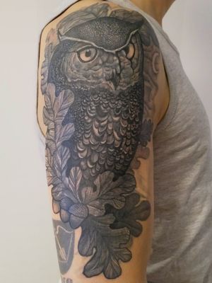  Coverup owl.