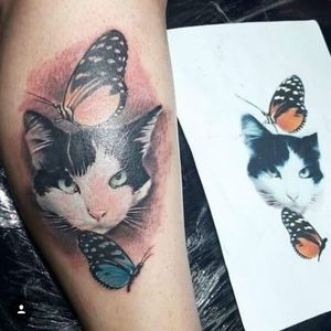 #realistictattoos #realism #tattooart #cat #gato #Butterflies #ozinktattoo 
