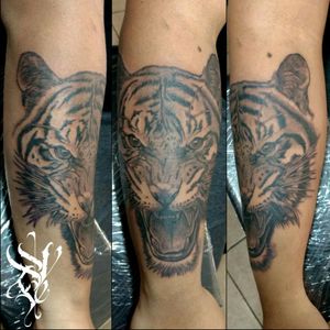 #Tatuaje #Tattoo #Tigre #Tiger #Realista #BlackAndGray #MyWorldOfInk #DiabolicTattoo #MacabroLineaDeSangre  #NoSeFracasaSiExisteUnComienzo