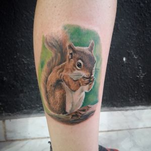 #Esquilo #squirrel #realismtattoo #realistic #tattooartist #ozinktattoo #naturetattoo #natureza