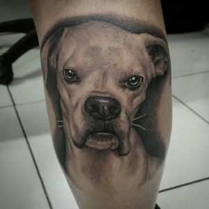 #luzesombra #blackandgrey #inspiration #tatuagem #tattoorj #rj #riodejaneiro #tattoo #ink #tattooink #blackandgreytattoo #blackworktattoo #boomproarte #tattooworkers #tattoolife #tattooart #tattoolovers #art #inspirationtattoo #dog #dogtattoo #dogportrait #realism #realismtattoo #realismo #gabrielpradoarte