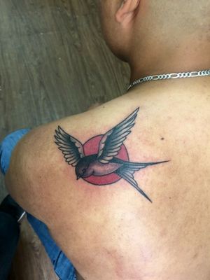 Traditional sailor Jerry tattoo of a swallow bird