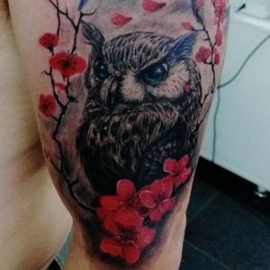 Owl, Japanese flowers and crescent moon. 