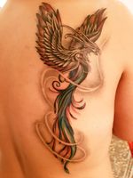 #phoenix#colored#coloredphoenix#bird#hokybird#back#rome#wings#coloredwings