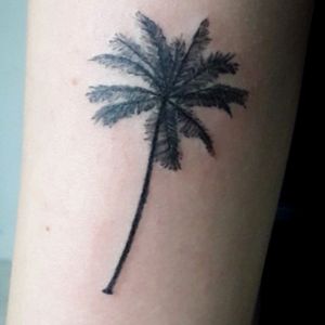 #tattoo4 #palmer #palmera #black 