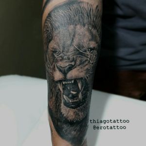 #tattoos #lion #tattooblackandgrey #tattooart #tattooartist #artistic #artistaNacional #pretoecinza #thiagotattoo #tattoobrasil 