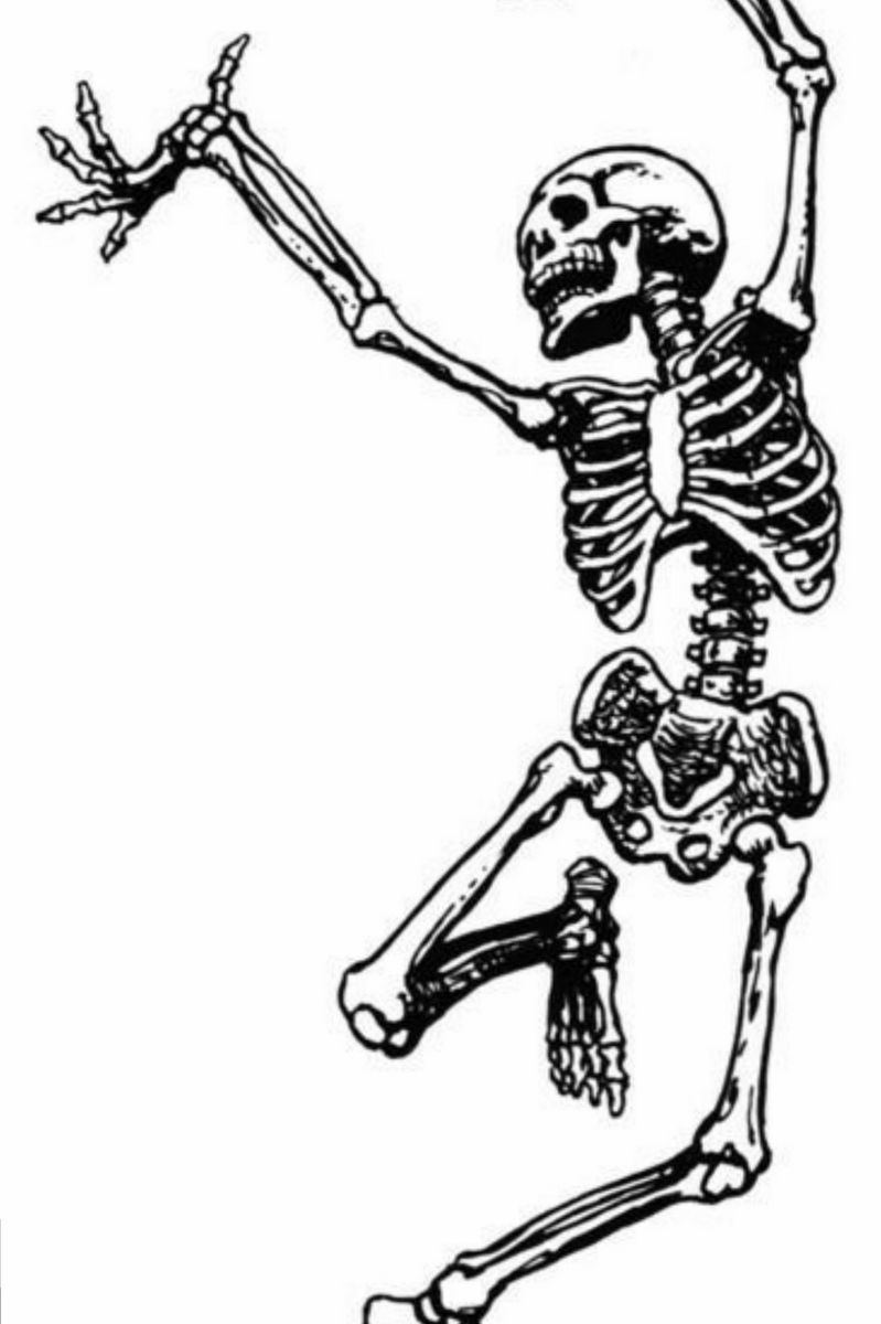 Танцующий скелет скетч