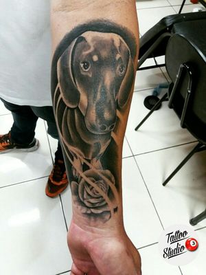 Tattoo feita por Crys Andrade 3 Tattoo Studio Rua Ana Barbosa 29 sala 102 Méier - RJ Tel 21 3586-9485 993808510 #3tattoostudio #tattoo #tatuagem #tattoobrasil #tattoorj #meier #riodejaneiro #rj #instatattoo #ink #inked #inkedgirls #tatuagemdelicada #tattoojá #tattoo2me #pretoesombra #pretoebranco #pretoecinza #joanachung #realismo #realistic #realism #realismo #cachorro #tatuagemdecachorro #dogtattoo #dogportrait #dog 
