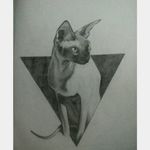Sphynx Cat ✏ #sphynx #cat #drawing #draw #realism 