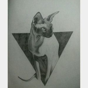 Sphynx Cat ✏#sphynx #cat #drawing #draw #realism 