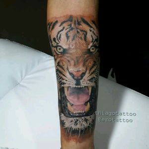 #thiagotattoo #@erotattoo #tattootigre #tigre #realismo #realismocolorido #tattoorealista #colorido #tatuadoresdobrasil #brasilia #brasil #tigracolorido #tattoodobrasil