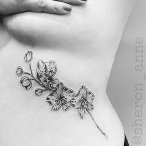 #orquideas  #orchid  #orchidtattoo #finelinetattoodesign #fineline #finelinetattoo #finelinetattoostyle #blackcatneedles #electricink #everlastink #sheronanne #sheronannetattoo #Curitiba #Florianópolis #RiodeJaneiro #RJ #Brasil #braziliantattooartist #ink  #inktattoo #tattooink #tattoo #tattoowork #tatuaje #tatuage
