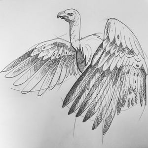 Sketch of a Condor for Alice
