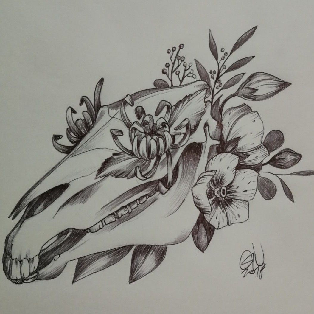 Horse skull illustration, drawing, engraving, ink, line art, vector Stock  Vector Image & Art - Alamy