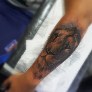  🔥 Horários disponíveis 🔥🏢Rua Dr. Alfredo Barcelos, 16 - Olaria. ☎️ (21) 98145-2755💻 guilhermesalles.mct@outlook.com 📩 Direct...#tattoo #tattooartist #ink #inked #tattooed #tattooist #tatuagem #blackandgrey #blackandgreytattoo #bw #bwtattoo #blackwork #realism #realismtattoo #lion #liontattoo 