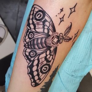 Starry moth