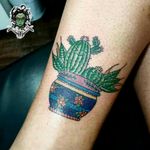 #NaneMedusaTattoo #tatuagem #tattoo #art #arte #riodejaneiro #sulacap #cactustattoo #cactus #cactos #oldschooltattoo 