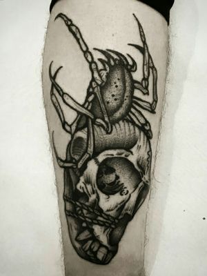 #tattoo #tattooartist #skulltattoo #monkeytattoo #spidertattoo #dotworktattoo 