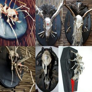 taxidermy, skeletal articulation, and nature-based skull mounts from my sheanderthal series. 
