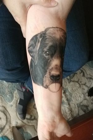 Side of new tattoo if my dog Tealc done at temple body arts in iowa city by andy October