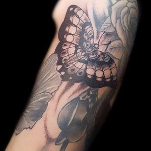 Butterfly Filler Tattoo ➕➕