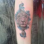 #lion #liontattoo #leaotattoo #aquarela #whatecolors #tattooart #tatuagem #estudiodetattoo #sptattoo #braziltattoo