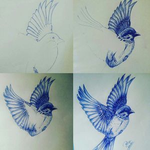 #pen #draw #drawing #tattoo #bird #blue #p13 