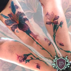 Arte autoral do Lírio com Alstroemerias que fiz em aquarela na pele da @pamyink =].. ..Quer uma arte pensada pra ti?orçamento pelo e-mail. andremelotattooartist@gmail.com... ***Todos por um mundo mais colorido com qualidade.***....... #AndreMeloTattooArtist #MelosTattooInk#tatuagem #tattoo #tattoing #tattooart #tattooer #tattooist #tatuadoresbrasileiros #tatuagembrasil#art #drawing#tattoomachine #rotarymachinetattoo#vilaclementino #vilamariana #ibirapuerapark #ibirapuera#watercolor #watercolortattoo #aquarela #sketch #sketching #drawingtattoo #flores #flowers #flowertattoo #lirios #alstroemeria