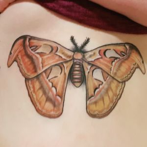 My beautiful Atlas Moth sternum tattoo 😊 #atlasmoth #moth #mothtattoo #sternumtattoo #tattoo #sternum #colourful #pretty #beautiful #talentedartist #underboobtattoo #feelingsexy