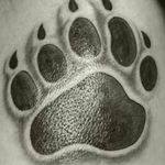 Bear paw for upper right arm/shoulder 