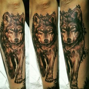 wolf wild outline