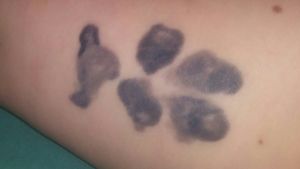 My service animal's Paw print after she passed