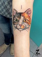 🐱Moitié/moitié😻 Merci à ma charmante cliente pour ce tattoo bien sympa à faire... realisé en guest @funhousemetz (bises à toute l'équipe pour ce 1er accueil adorable) #cat #catsofinstagram #cats #cattattoos #catportrait #colortattoo #catdrawing #watercolor #tattoodrawings #tattoosnob #tattoo #tattooartist #tattooart #zeldabjj #zeldablackjeanjacques #inked #inkedupgirls #colmartattoo #colmar #alsacetattoo #inklove #inklovers #tattoolovers #tattoolife #inkmagazine #newtattoo #tattoos #smalltattoo #catlovers