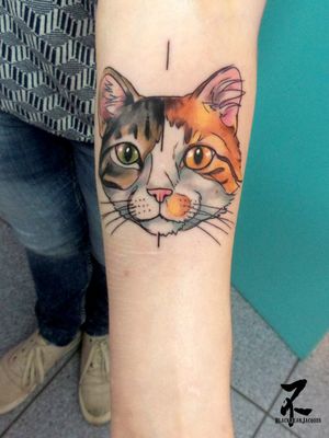🐱Moitié/moitié😻 Merci à ma charmante cliente pour ce tattoo bien sympa à faire... realisé en guest @funhousemetz (bises à toute l'équipe pour ce 1er accueil adorable)#cat #catsofinstagram #cats #cattattoos #catportrait #colortattoo #catdrawing #watercolor #tattoodrawings #tattoosnob #tattoo #tattooartist #tattooart #zeldabjj #zeldablackjeanjacques #inked #inkedupgirls #colmartattoo #colmar #alsacetattoo #inklove #inklovers #tattoolovers #tattoolife #inkmagazine #newtattoo #tattoos #smalltattoo #catlovers