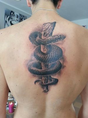 2.5h in one session. Rod of Asclepius. Ancient Greek god of Medicine. Snake is the black mamba. Done by Maris Pavlo in Riga, Latvia.