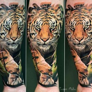 Done by Eugen Mahu - Resident Artist @iqtattoo #tat #tatt #tattoo #tattoos #tattooart #tattooartists #realistic #realistictattoo #color #colortattoo #tiger #tigertattoo #beautifultattoo #ink #inked #inkedup #inklife #inkstagram #ink_sta_gram #amazingink #amazingtattoo @the.best.tattoo.page @tattooloversshop @tattoodo @tattoorealistic #instalike #instagood #instadaily #instatattoo #tattoooftheday #armtattoo #art #gorinchem #netherlands 