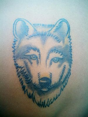 Wolf: Clients Choice: From GoogleP.S. I just tattoed it. I dont know the artist. Sorry for that.