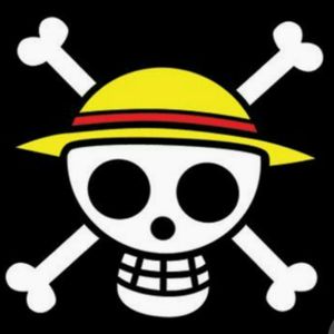 Pirate Skull Bandit Searching the one piece
